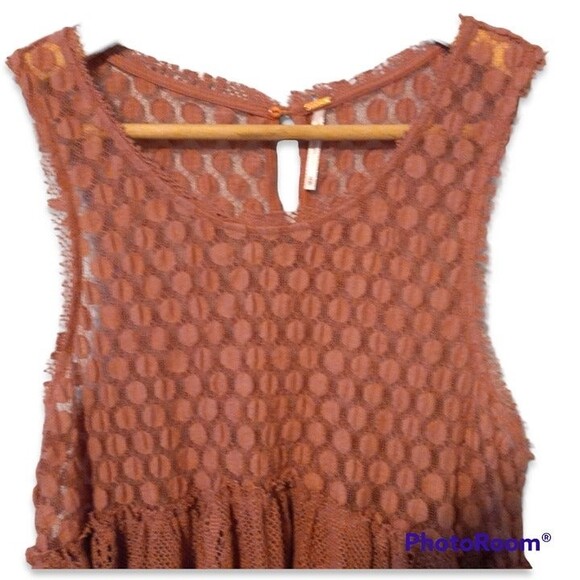 Free People Park Slope Babydoll Tank-Size XS-Lace-Sheer- Rustic Rose - Peplum - Picture 3 of 7